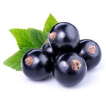 Blackcurrant